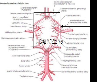 圖片1_wm.jpg