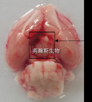 圖片2_wm.jpg