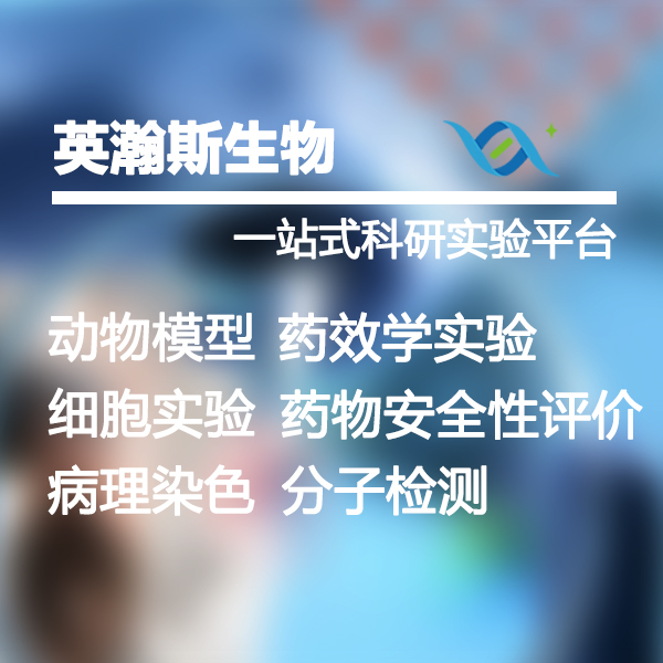 公司業(yè)務(wù)介紹.jpg