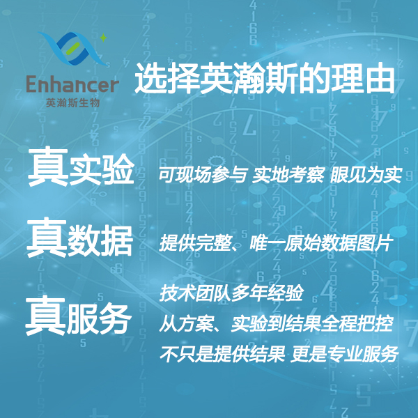 選擇英瀚斯的理由.jpg