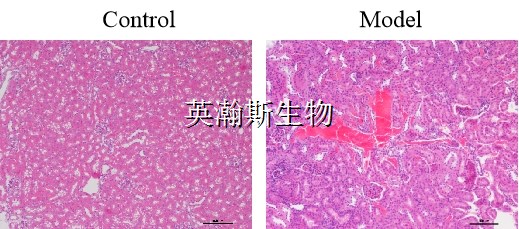 圖片1_wm.jpg