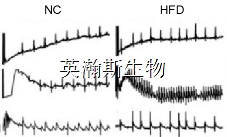 圖片1_wm.jpg